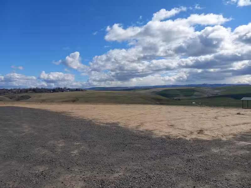 Eagle Scout Dog Park