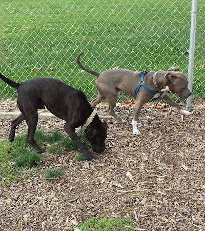 Penny's Memorial Dog Park