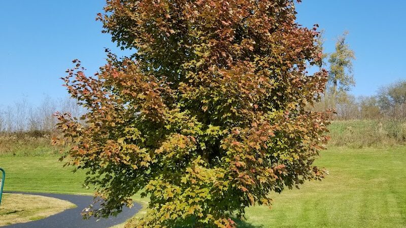 Ratcliff Park - Lewistown, IL