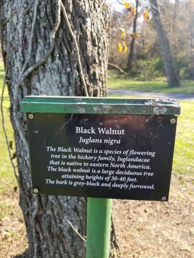 Ratcliff Park - Lewistown, IL