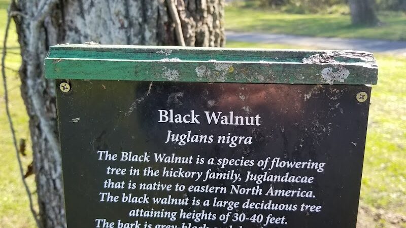 Ratcliff Park - Lewistown, IL