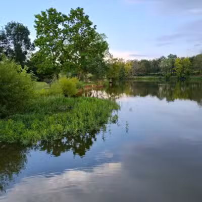Jacobson Park - Lexington, KY