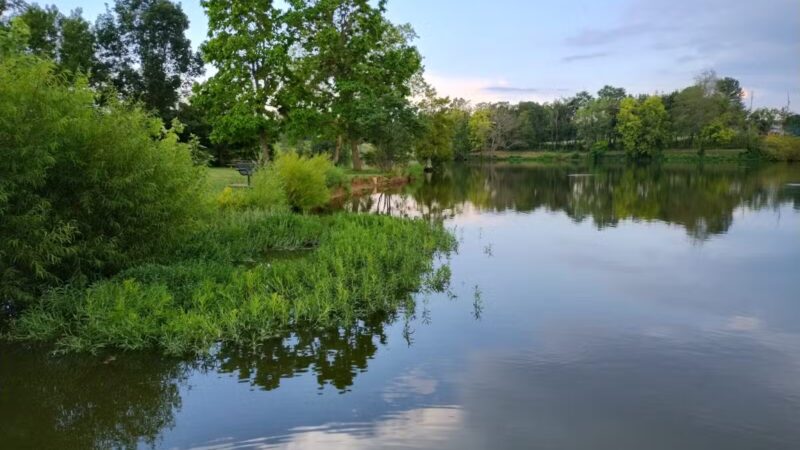 Jacobson Park - Lexington, KY