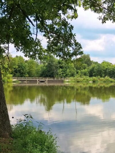 Jacobson Park - Lexington, KY