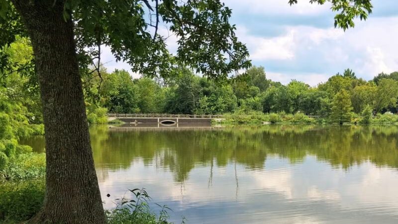 Jacobson Park - Lexington, KY