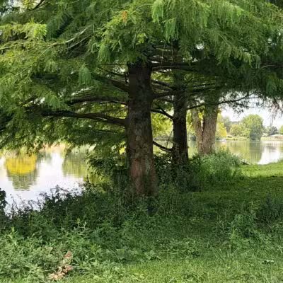 Jacobson Park - Lexington, KY
