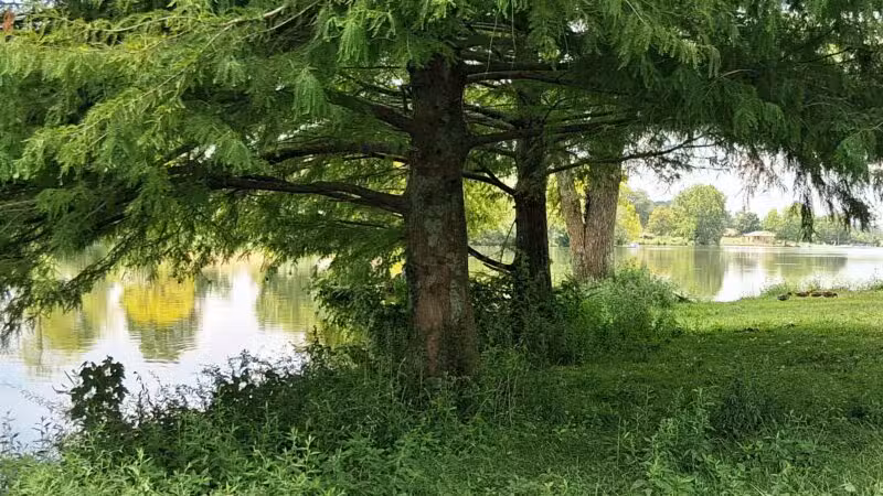 Jacobson Park - Lexington, KY
