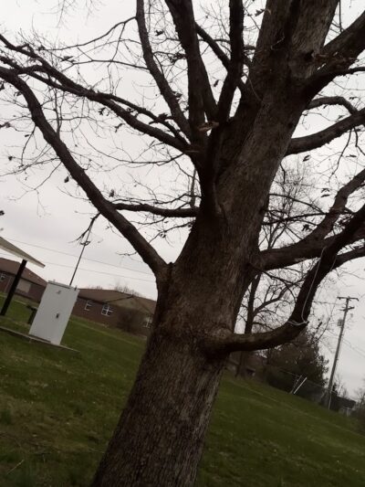 Addison Park - Lexington, KY