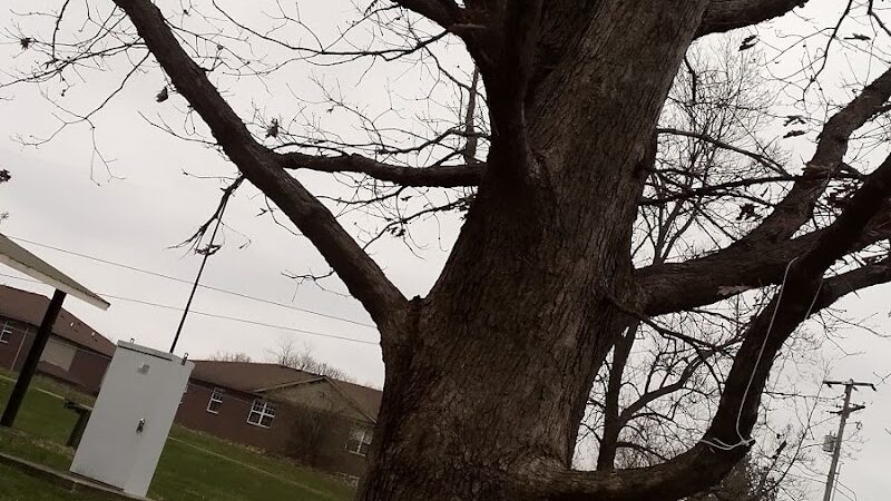 Addison Park - Lexington, KY