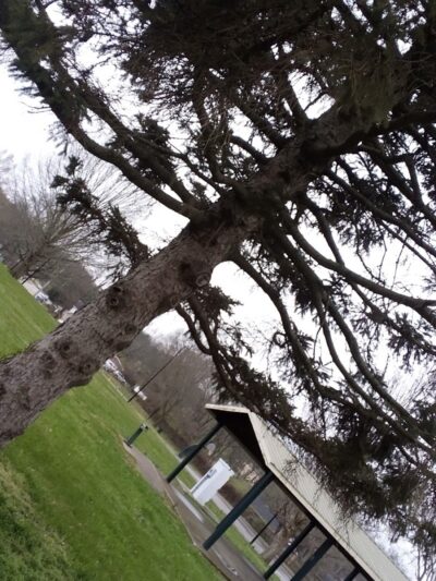 Addison Park - Lexington, KY