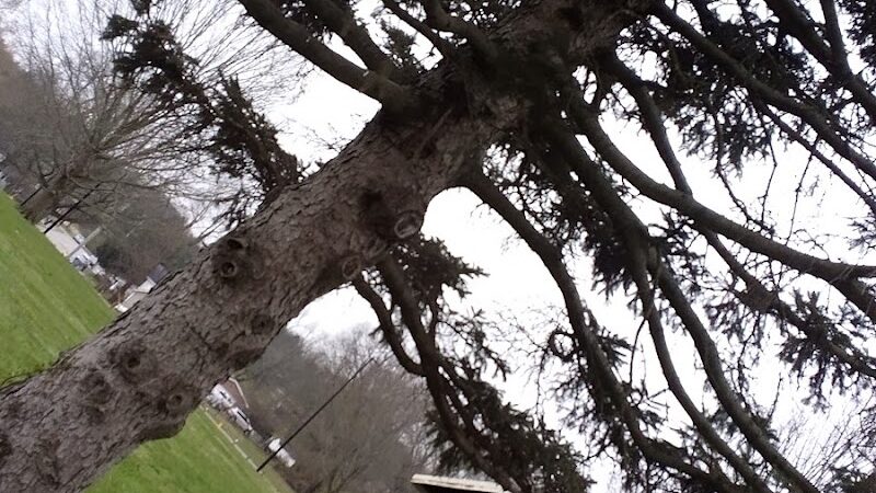 Addison Park - Lexington, KY