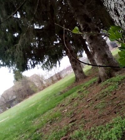 Addison Park - Lexington, KY