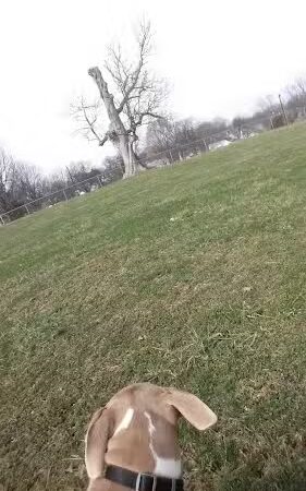 Castlewood Park - Lexington, KY