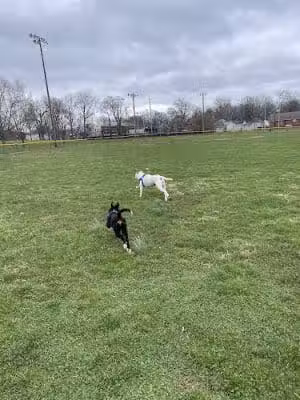 Coolavin Park - Lexington, KY