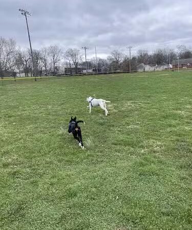 Coolavin Park - Lexington, KY