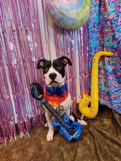 Dogtopia of Lexington - Lexington, KY