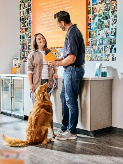 Dogtopia of Lexington - Lexington, KY