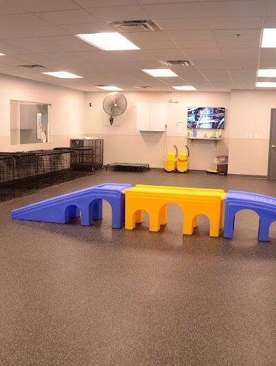 Dogtopia of Lexington - Lexington, KY