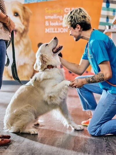 Dogtopia of Lexington - Lexington, KY