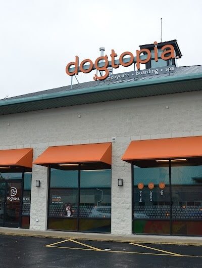 Dogtopia of Lexington - Lexington, KY