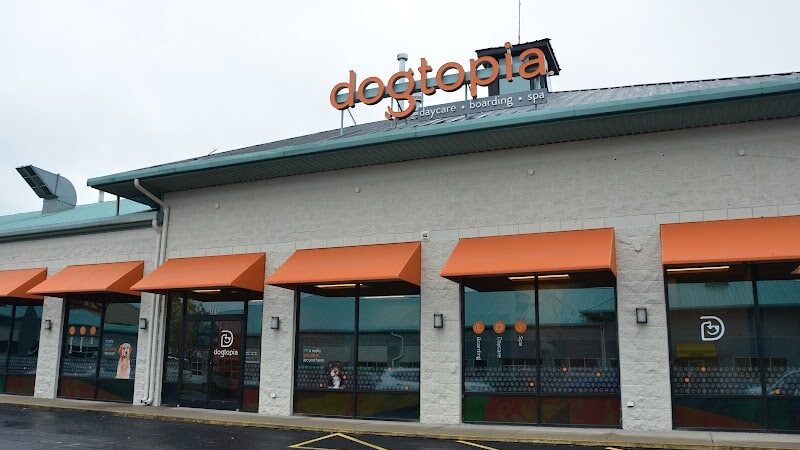 Dogtopia of Lexington - Lexington, KY