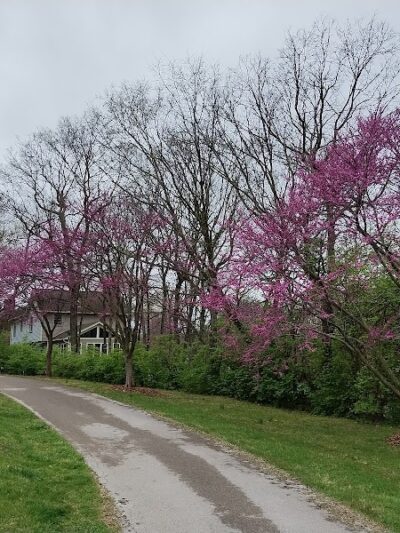 Dogwood Park - Lexington, KY