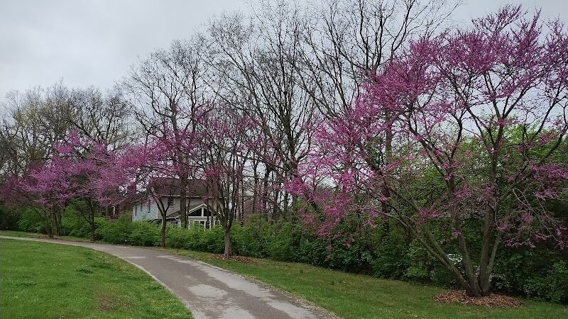 Dogwood Park - Lexington, KY