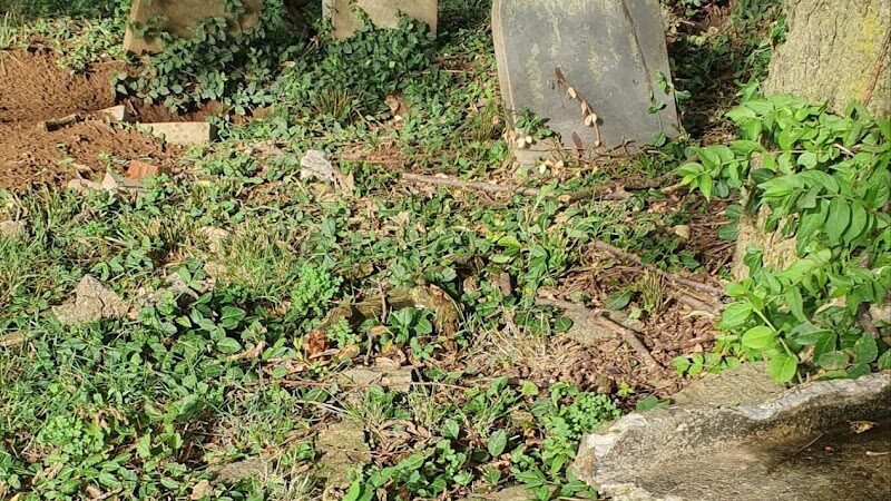 Douglass Park - Lexington, KY