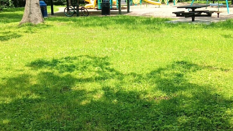 Elizabeth Street Park - Lexington, KY