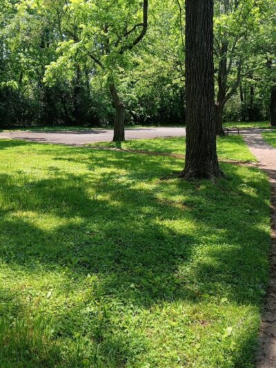 Elizabeth Street Park - Lexington, KY