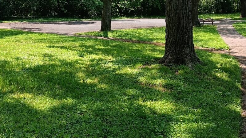 Elizabeth Street Park - Lexington, KY