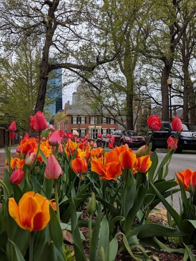 Gratz Park - Lexington, KY