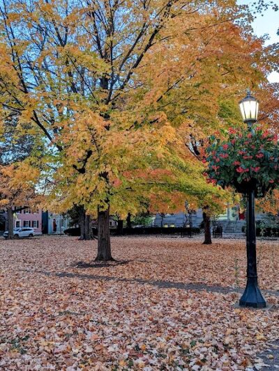 Gratz Park - Lexington, KY