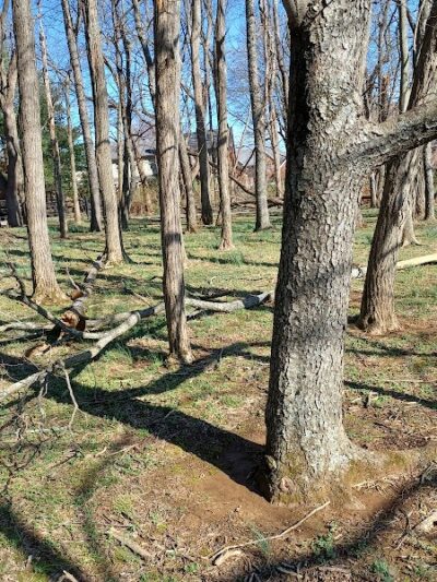 Harrods Hill Park - Lexington, KY