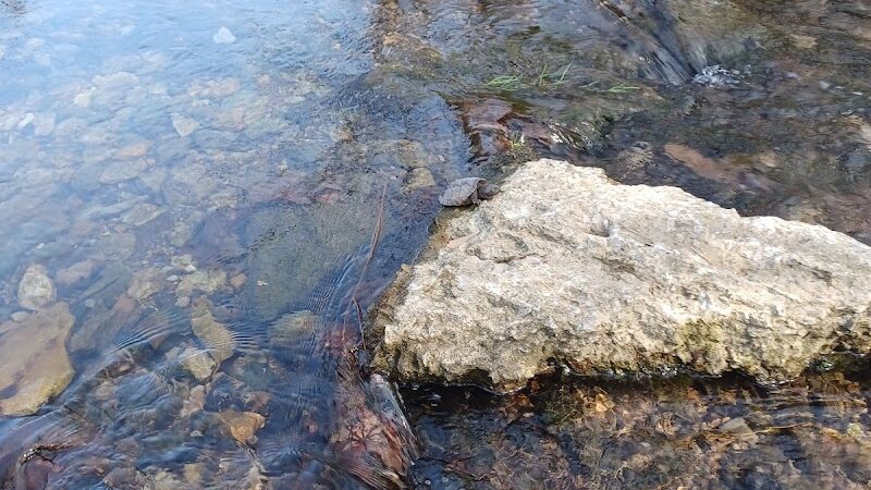 Harrods Hill Park - Lexington, KY