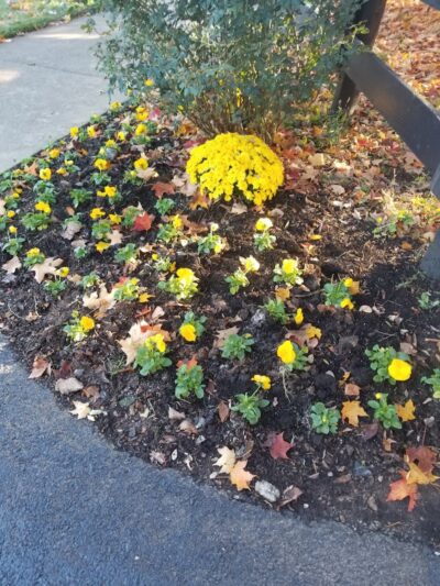 Harrods Hill Park - Lexington, KY