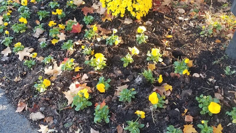 Harrods Hill Park - Lexington, KY