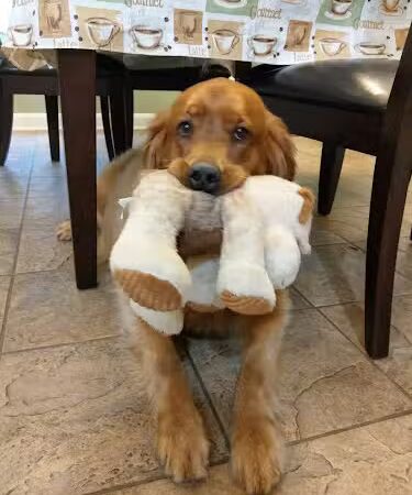 Harrods Hill Park - Lexington, KY