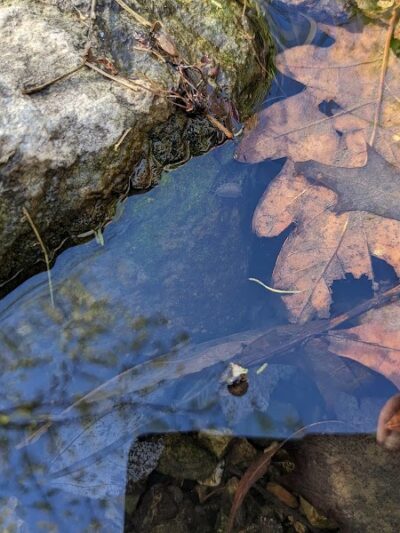 Hill N Dale Park - Lexington, KY