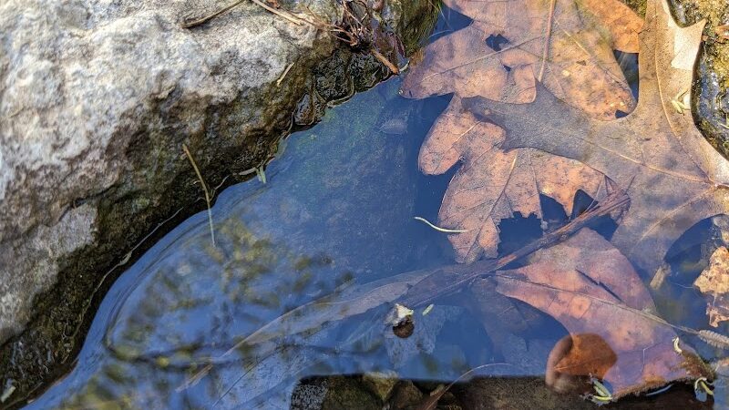 Hill N Dale Park - Lexington, KY