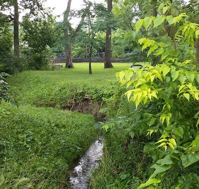 Hill N Dale Park - Lexington, KY