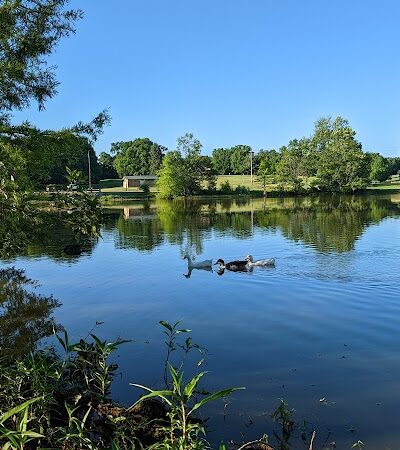 Jacobson Park - Lexington, KY