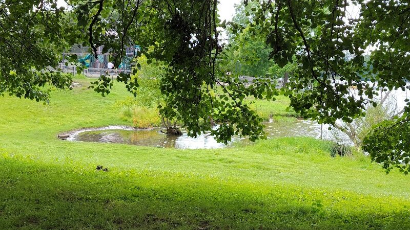 Jacobson Park - Lexington, KY