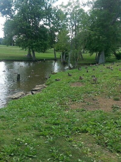 Jacobson Park - Lexington, KY