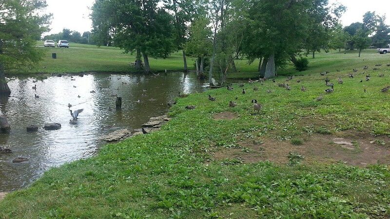 Jacobson Park - Lexington, KY
