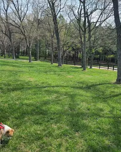 Jacobson Park - Lexington, KY