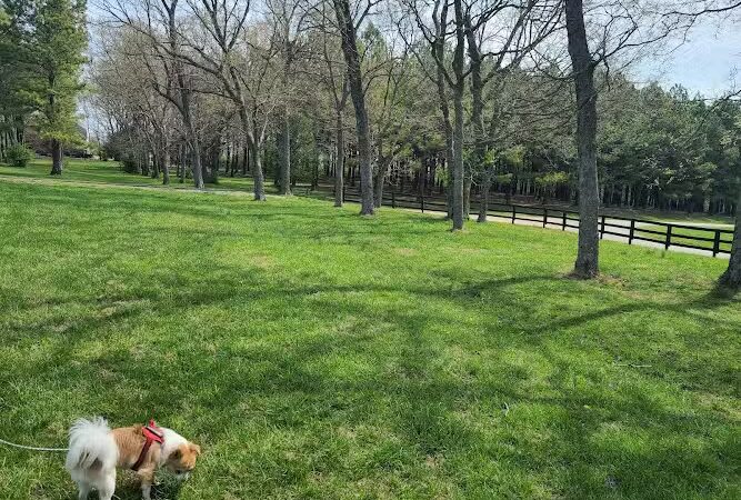 Jacobson Park - Lexington, KY