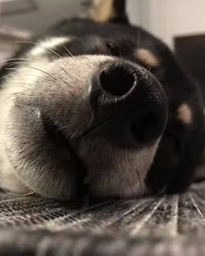 Kenawood Park - Lexington, KY