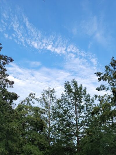 Kirklevington Park - Lexington, KY