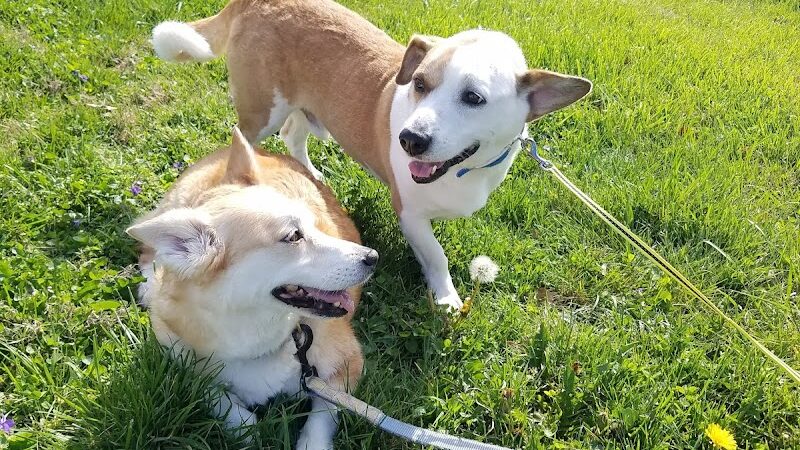 Kirklevington Park - Lexington, KY